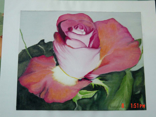 La rosa Oil Paper Floral Painting