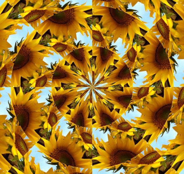 inspiración en Van Gogh