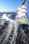 En busca de ballenas zipitoste maggic turmares