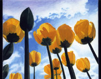 Los tulipanes