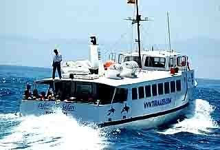 Cruceros en busca de delfines turmares