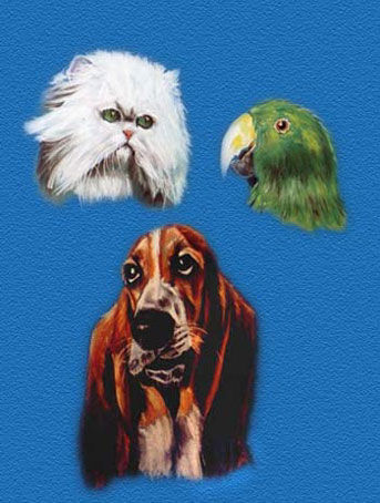 Animales