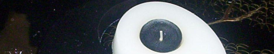 Imagen de portada