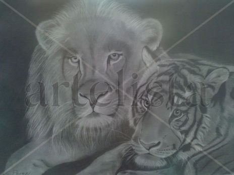 Pareja felina