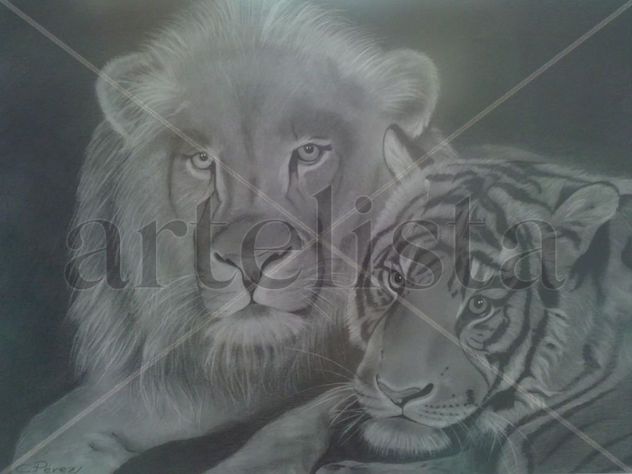 Pareja felina