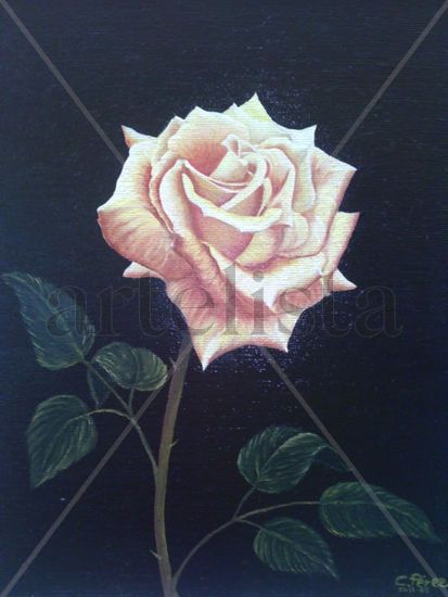 Rosa amarilla Oil Canvas Floral Painting