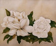 Magnolias