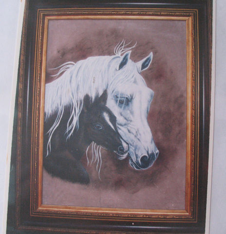 La furia caballos