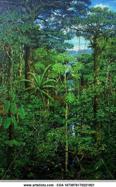 Guacamayos azules