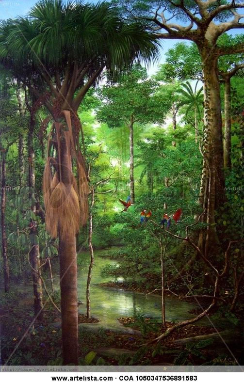 guacamayos rojos