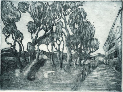 El jardín del hospital