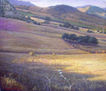 TARDE EN LOS TRIGALES