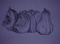 zapallos