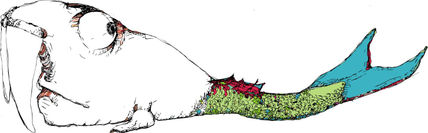 Morsa sirena