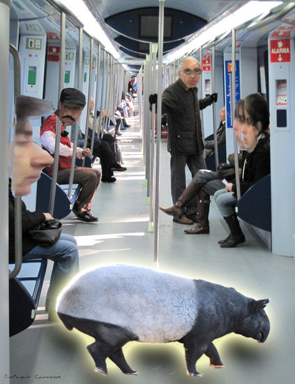 La aparición de un animal en el metro, (The appearance of an animal in the subway) Otras temáticas Color (Digital)