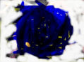 ALQUIMIA-3