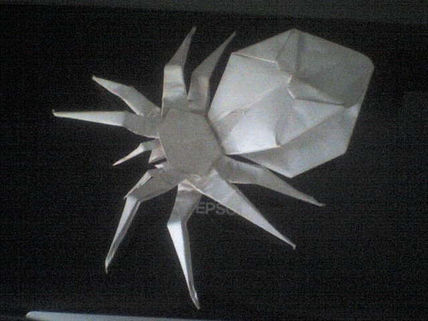 Araña 2