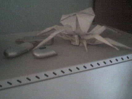 Araña de pc