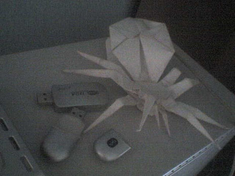 Araña de la compu