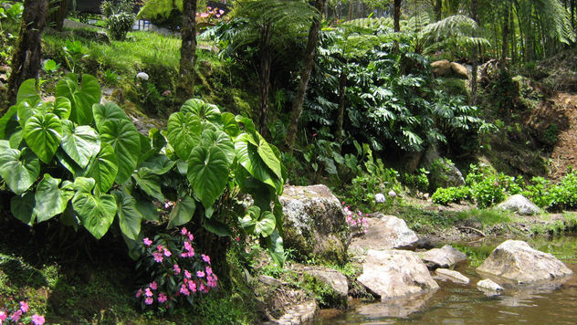 verde de mi tierra