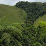 Eje cafetero de MI TIERRA COLOMBIA thumbnail 1
