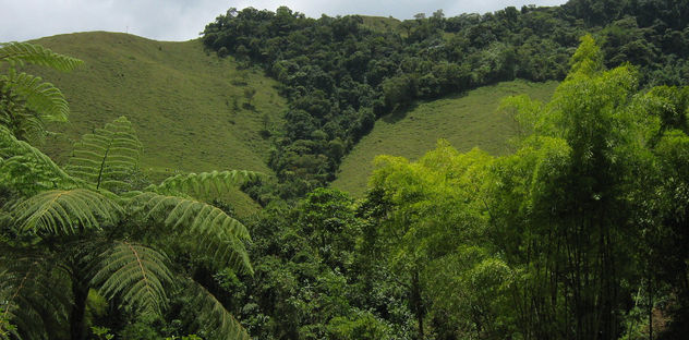 entre montañas