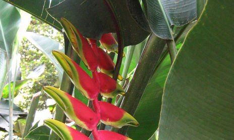 Naturaleza