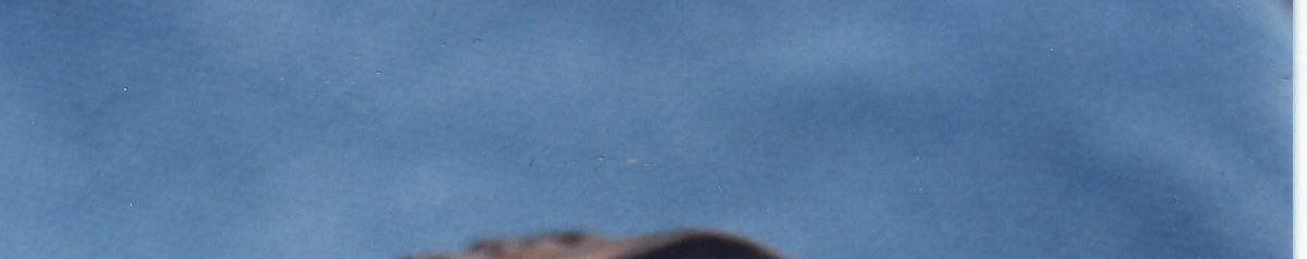 Imagen de portada
