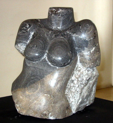 Torso