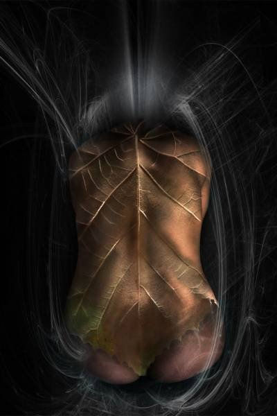 Piel y luz