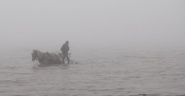 el viejo y el mar