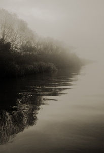 Perspectiva con niebla