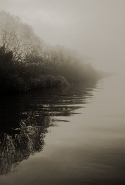 Perspectiva con niebla