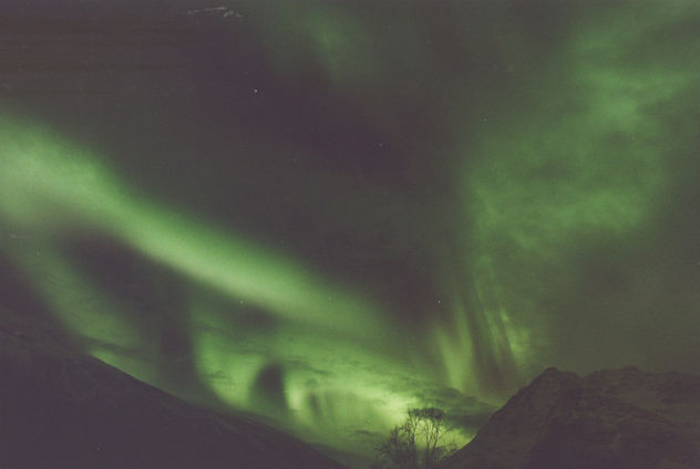 Aurora boreal 1, (Tromso, Noruega)