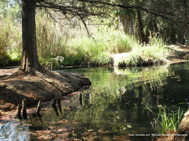 lago de la media luna Naturaleza Técnicas alternativas