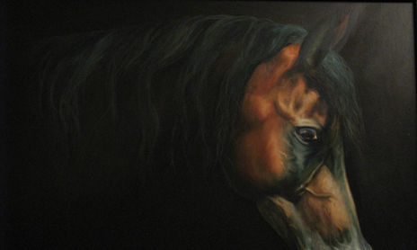 ANIMALES