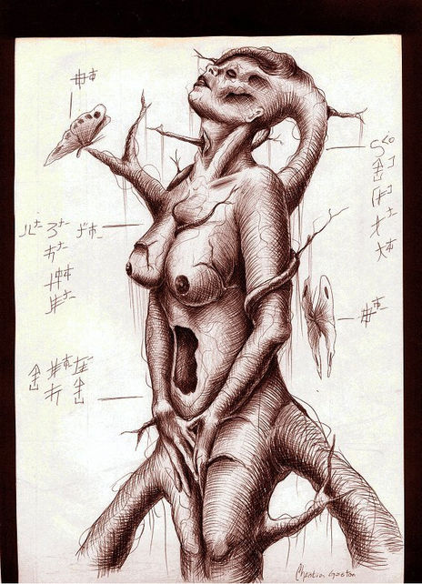 El arbol