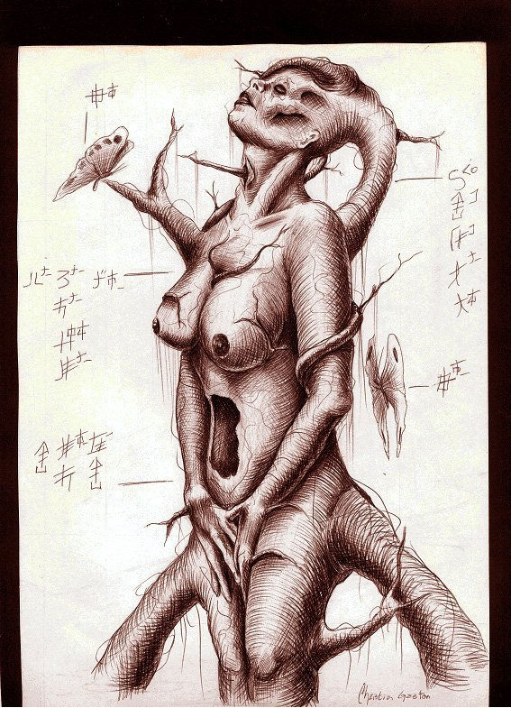 EL ARBOL