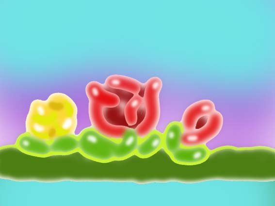 Flor 9