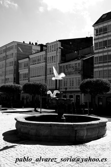 LA FUENTE Arquitectura e interiorismo Blanco y Negro (Digital)