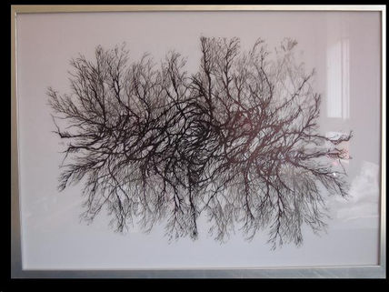 De la serie , 45x65cm