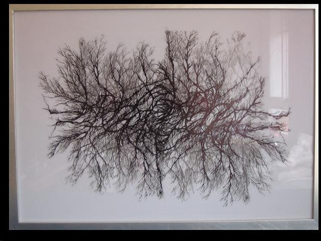 De la serie , 45x65cm