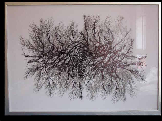 de la serie , 45x65cm