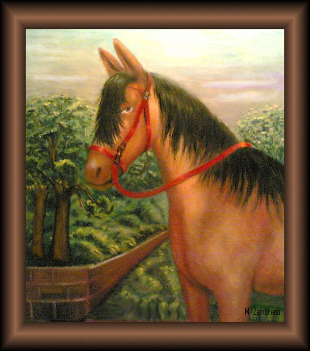 caballo correa