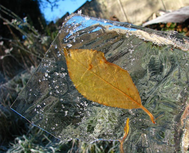 Ice