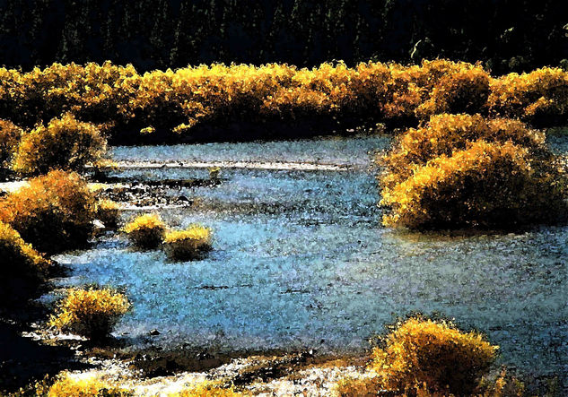 Otoño río Traful Naturaleza Técnicas alternativas