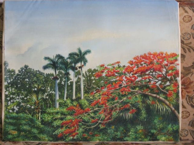 Flamboyan Óleo Lienzo Paisaje