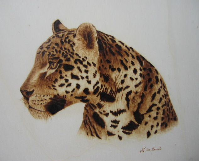 LEOPARDO Huecograbado