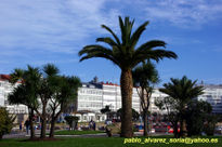 Galerias con palmera