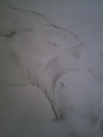 Boceto/Detalle...